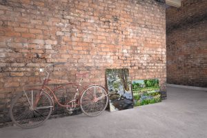 Lynne Adams Painting Gallery