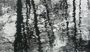 Lynne Adams Drawings and Paintings, Fine Art