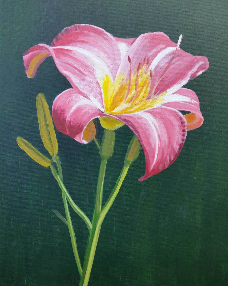 paint-a-flower-portrait paint-a-flower-portrait